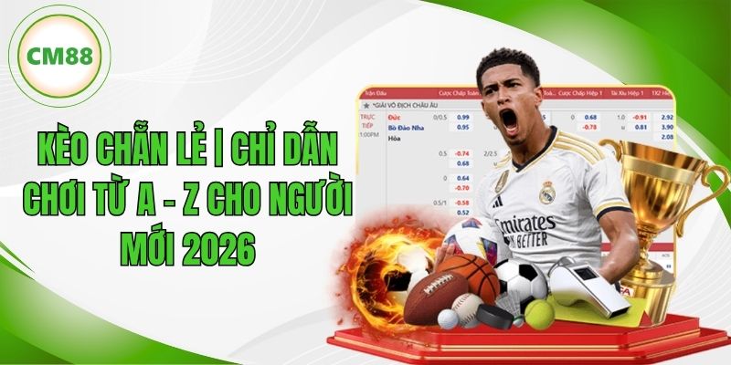 Kèo Chẵn Lẻ | Chỉ Dẫn Chơi Từ A - Z Cho Người Mới 2026