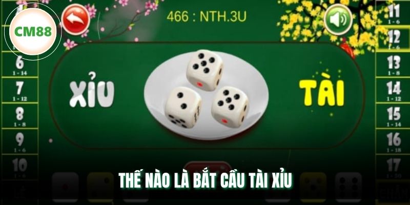 Thế nào là bắt cầu tài xỉu